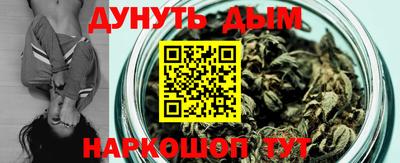 бошки Кингисепп