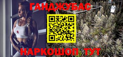 бошки Кингисепп