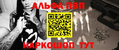 бошки Кингисепп