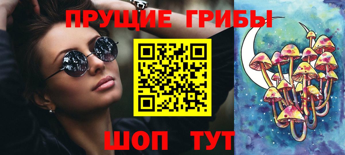 Кириши  Галлюциногенные грибы Psilocybine cubensis  Вход с VPN 
