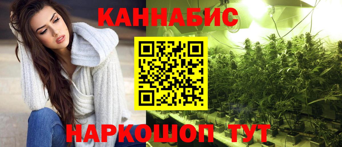 Бошки марихуана MAZAR Кириши